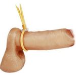 Gumica za erekciju 500189